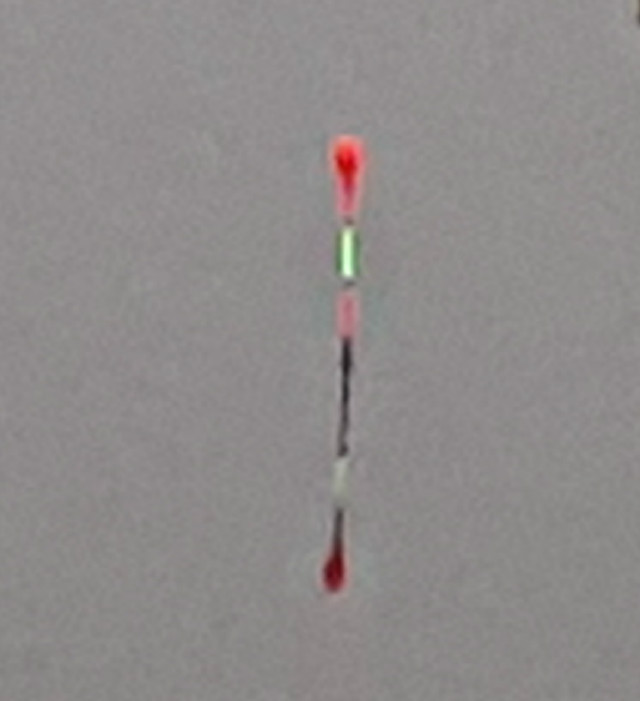 20160403_064058.jpg