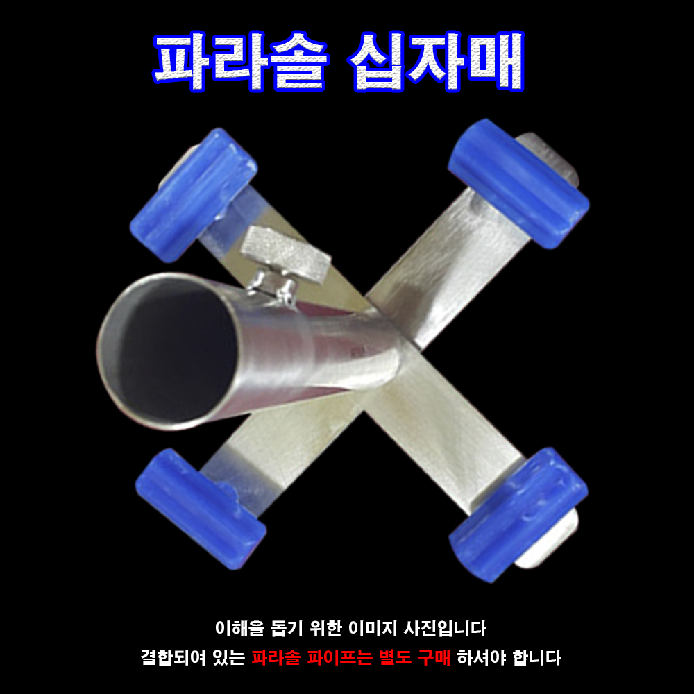 파라솔 십자매