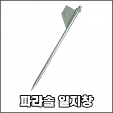 파라솔 일지창